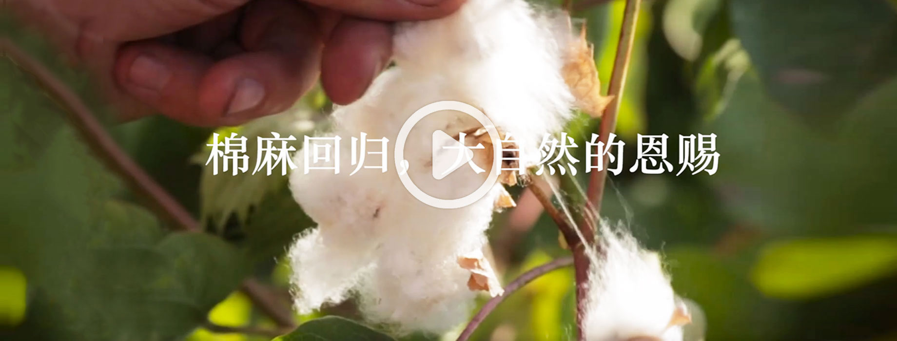 福连升：棉麻回归