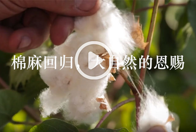福连升：棉麻回归
